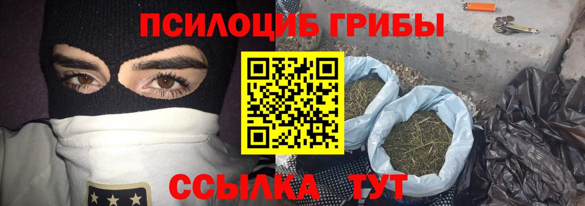 Псилоцибиновые грибы GOLDEN TEACHER  Галлюциногенные грибы прущие грибы  Вход с VPN  Ржев 